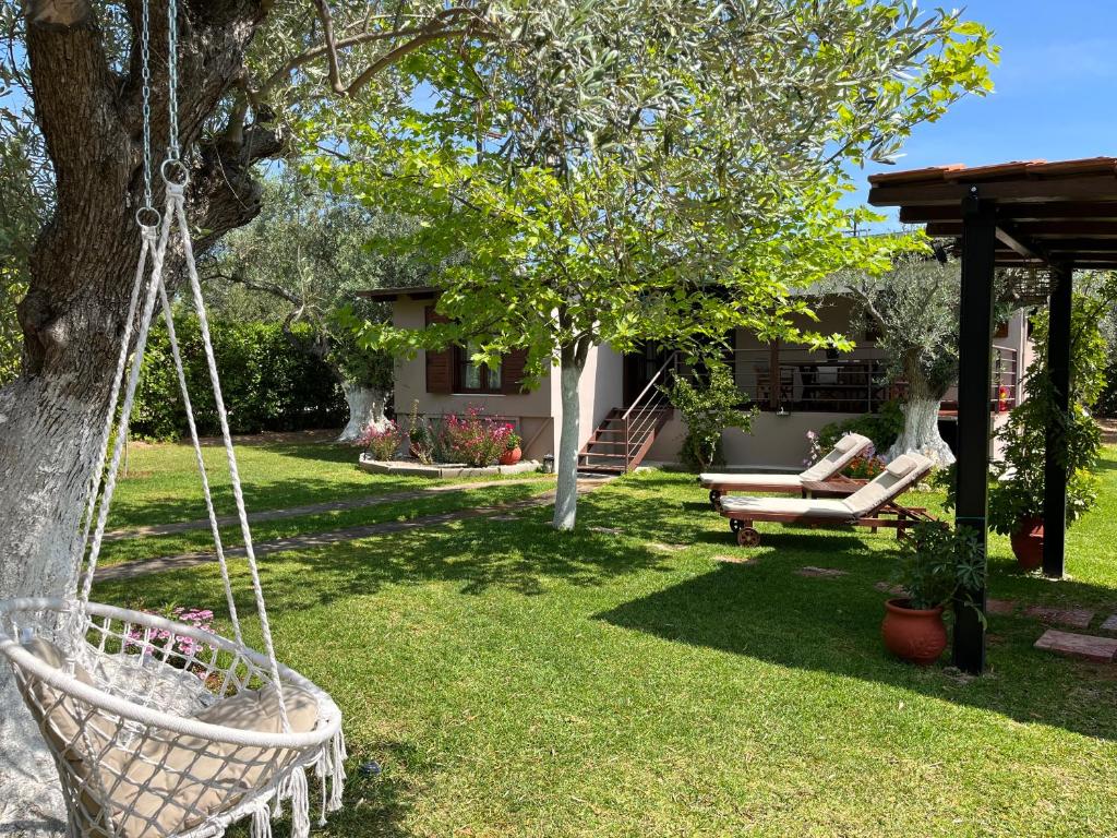 Les Olives Woodhouse photo 4