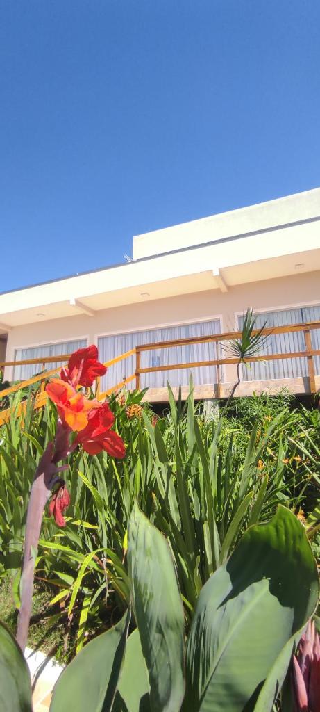 Casa de Maitreya photo 4