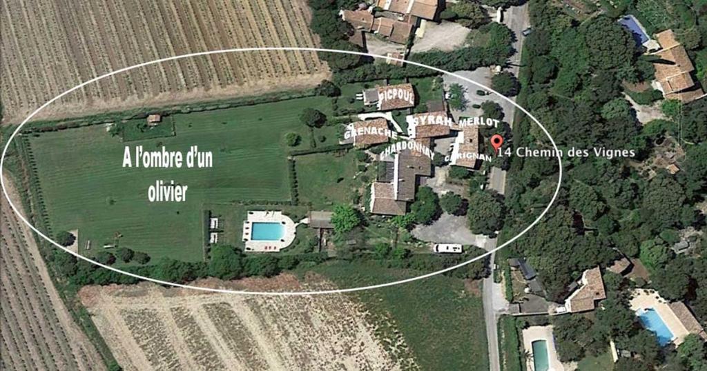 A l'ombre d'un olivier gîte Syrah photo 1