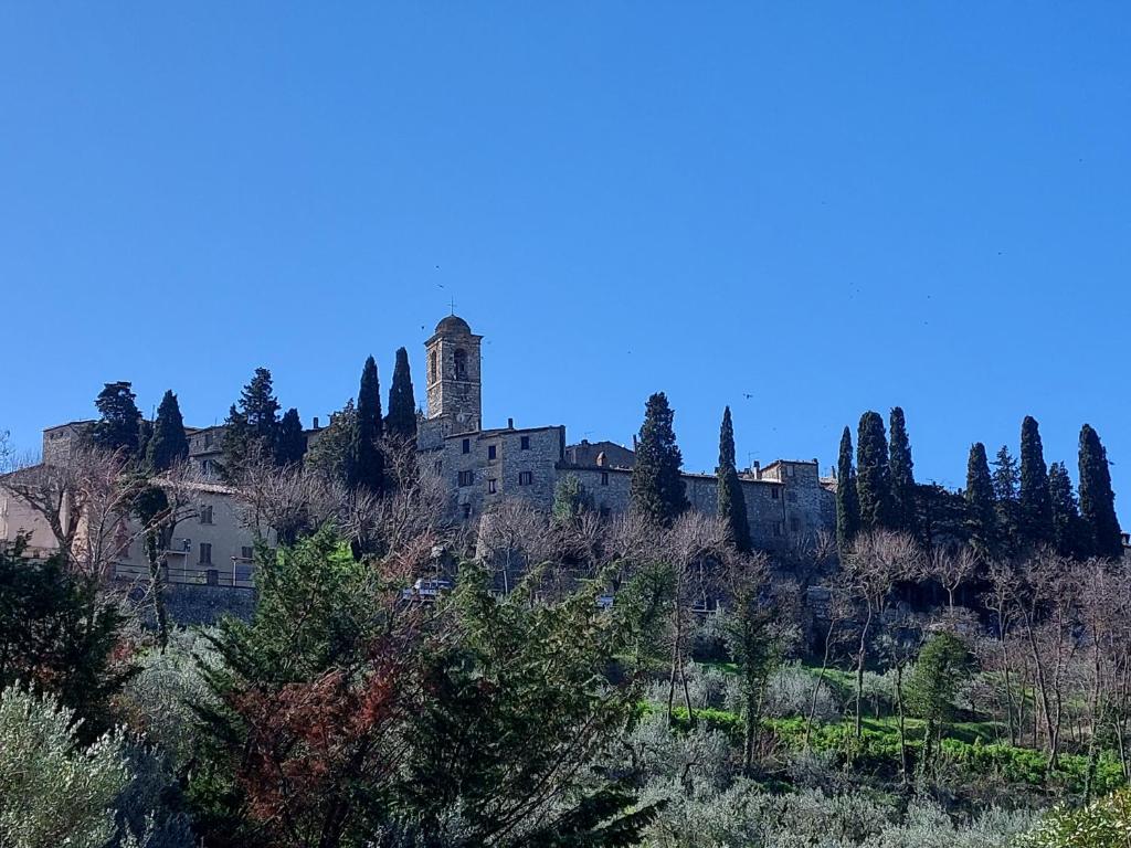 La Selvarella photo 4