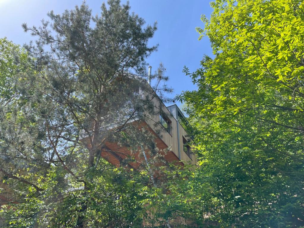 Baumwipfelhaus photo 1
