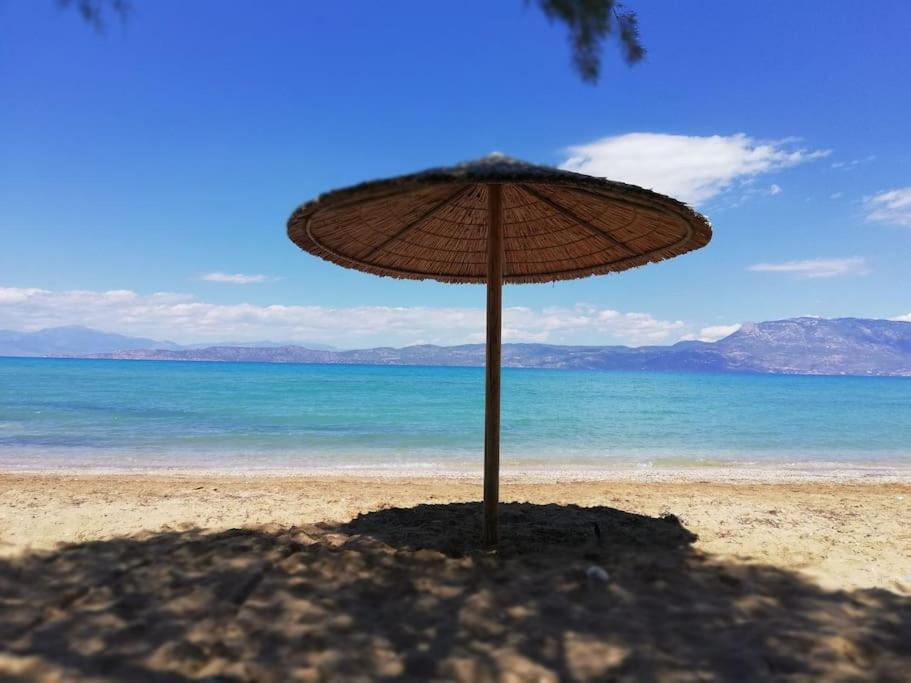 Perigiali: Σπίτι με θέα photo 1