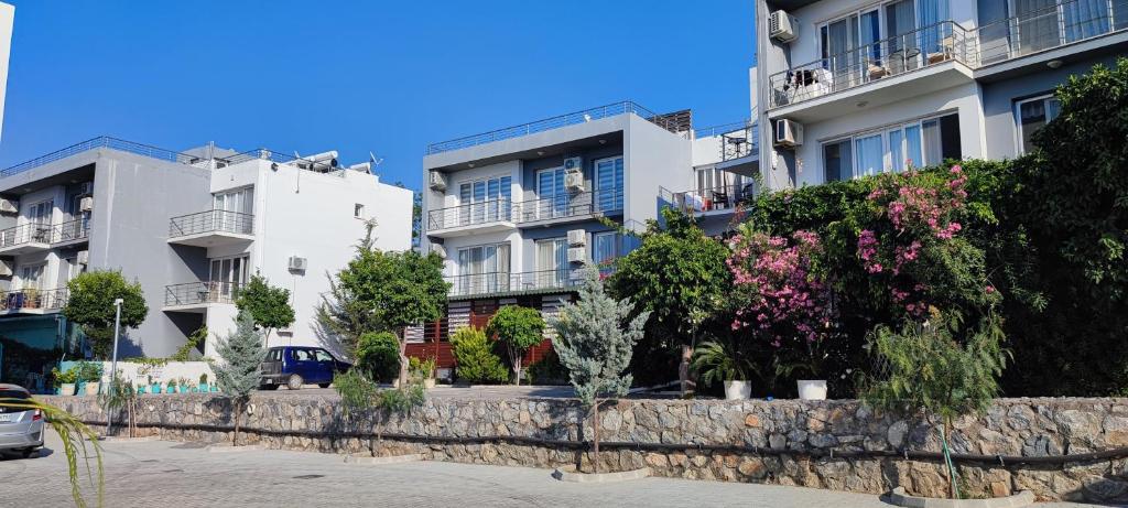 Penthouse by the sea, Lapta Sel