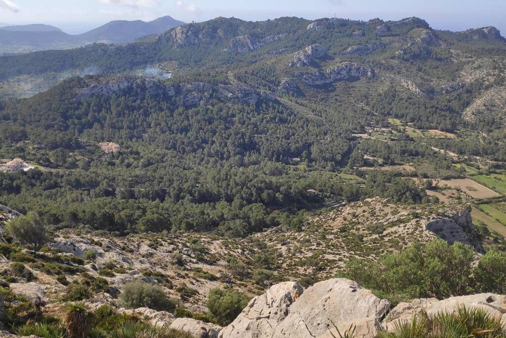 S'Arracó, el secreto de Andratx photo 3