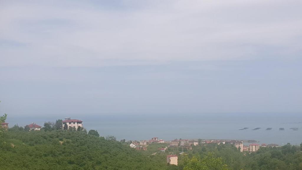 Doğadaki Eviniz