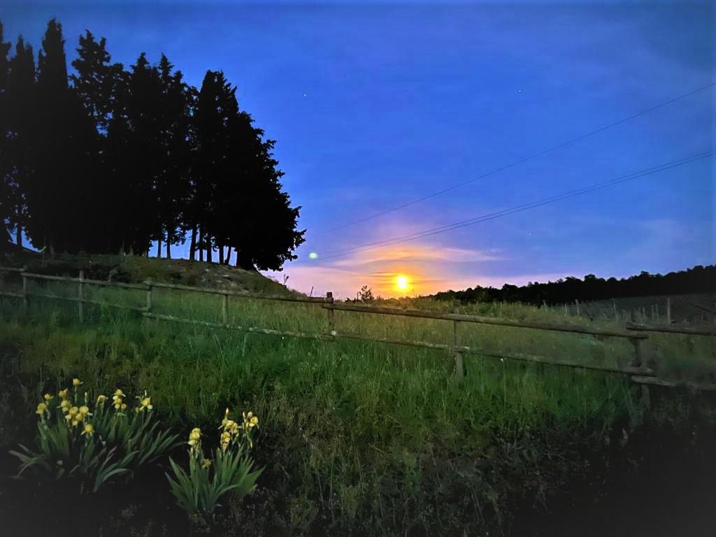 Podere La Selva photo 1