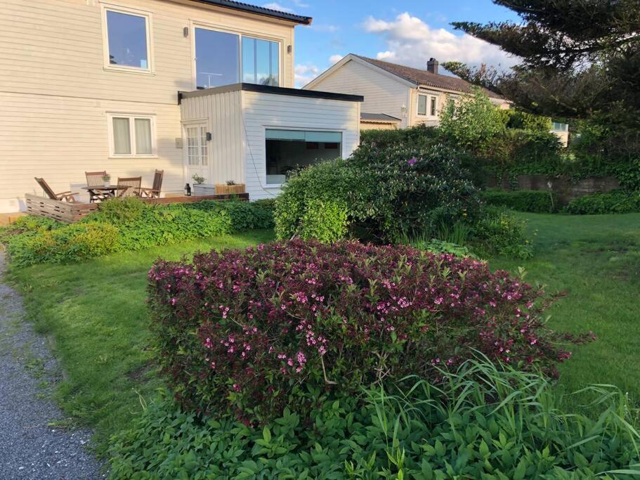 Lys og trivelig leilighet i Larvik photo 3
