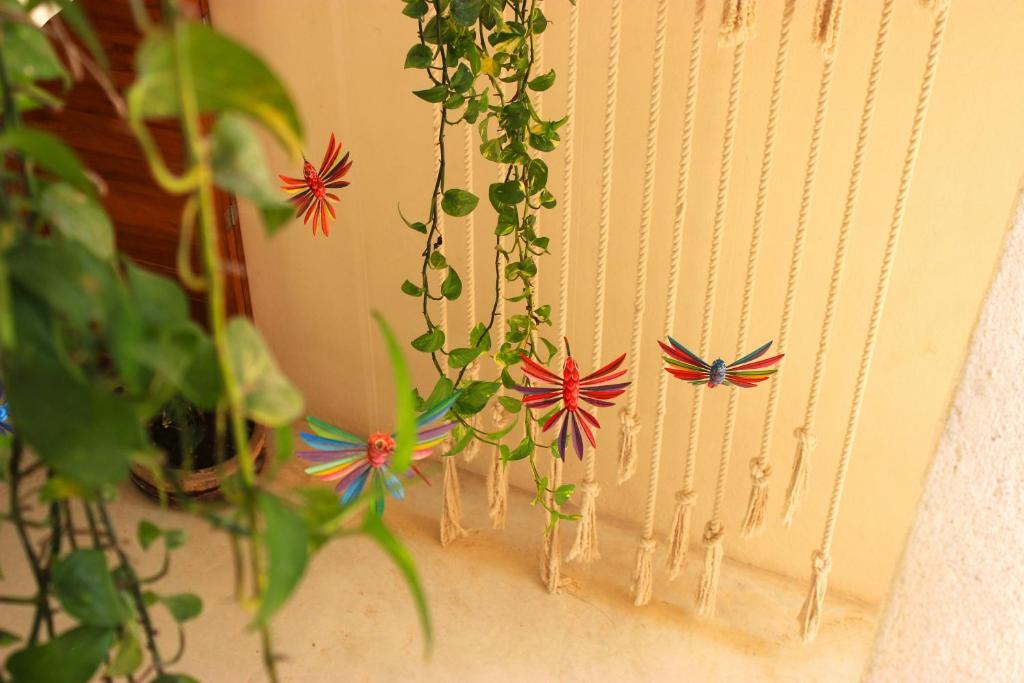 Tierra Mia Boutique Hotel photo 2