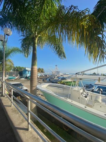 Ocho Rios Vacation Resort Property Rentals photo 2