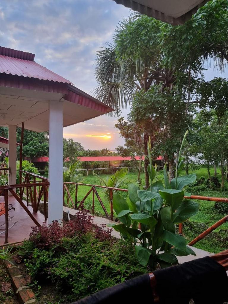 Milía Amazon Lodge photo 1