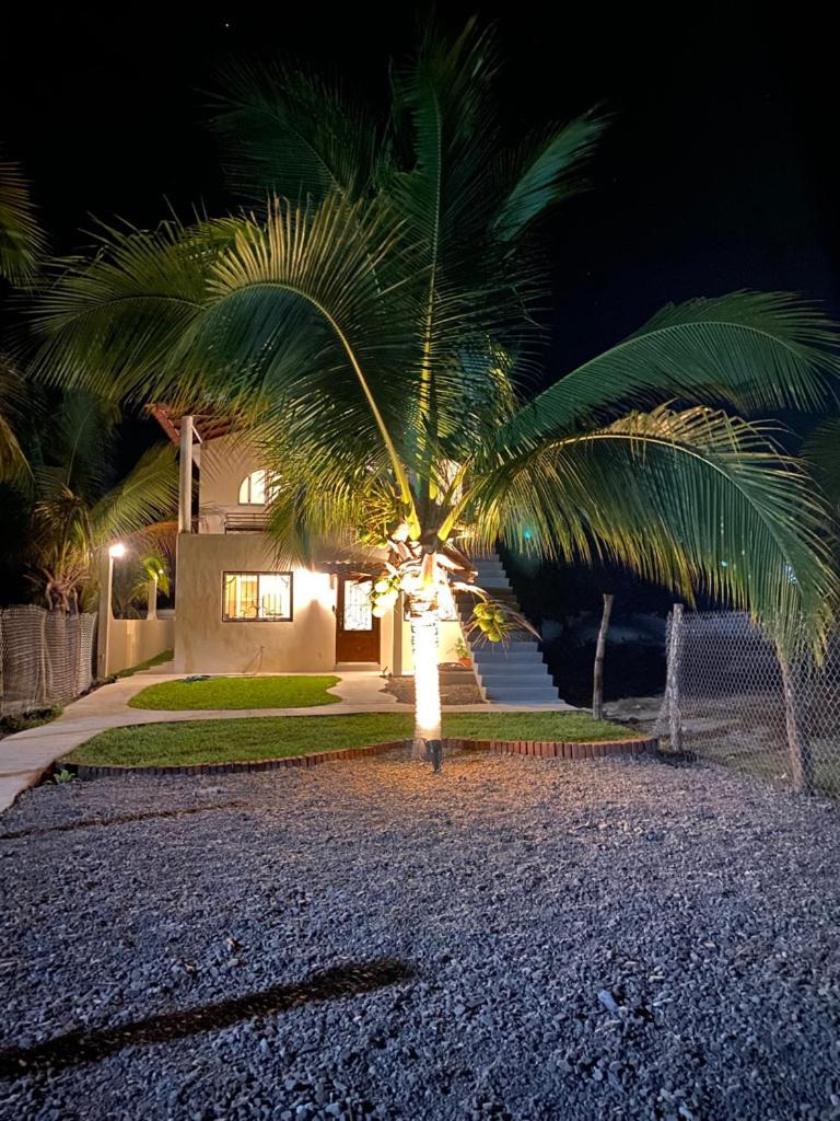 Los Amores Apartments A photo 1