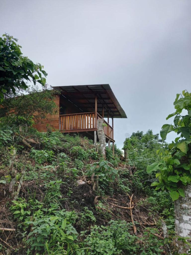 Cabina Casa Sueños photo 2