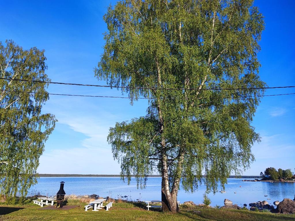 Lainela puhkeküla photo 3