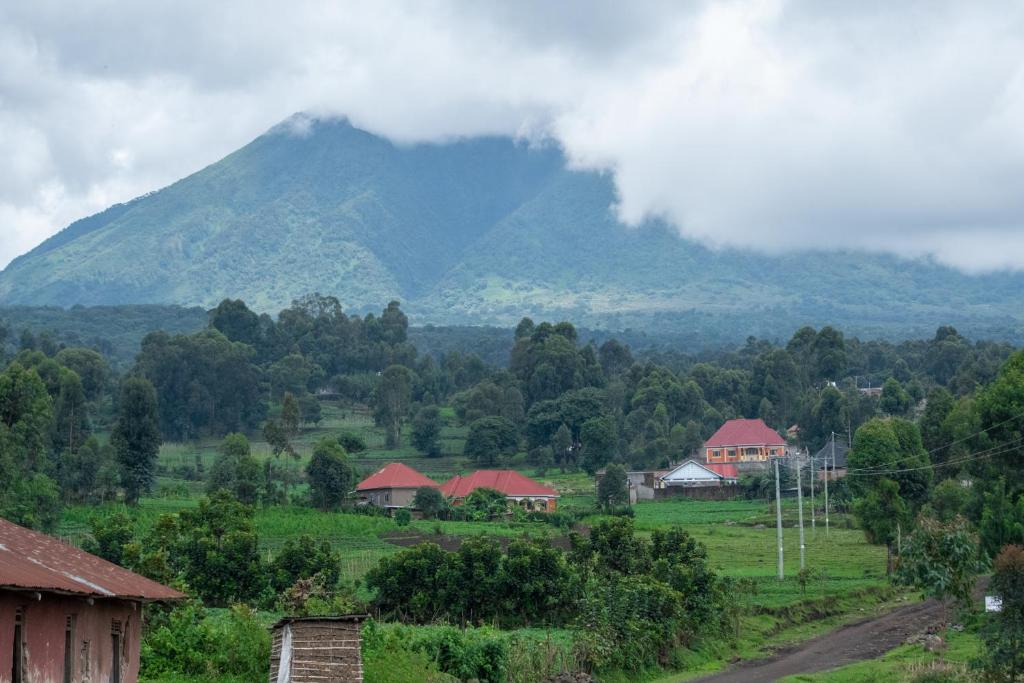 Ntebeko Homestay photo 2