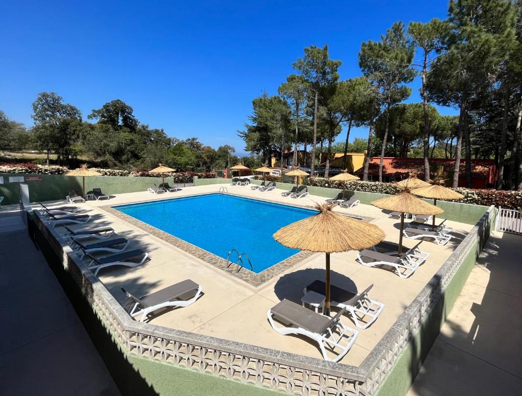 Domaine Des Mimosas