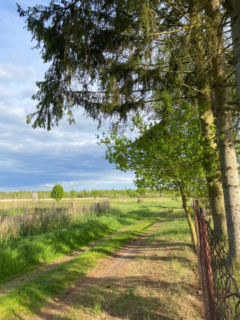 Ferienhaus am Seegrund photo 1