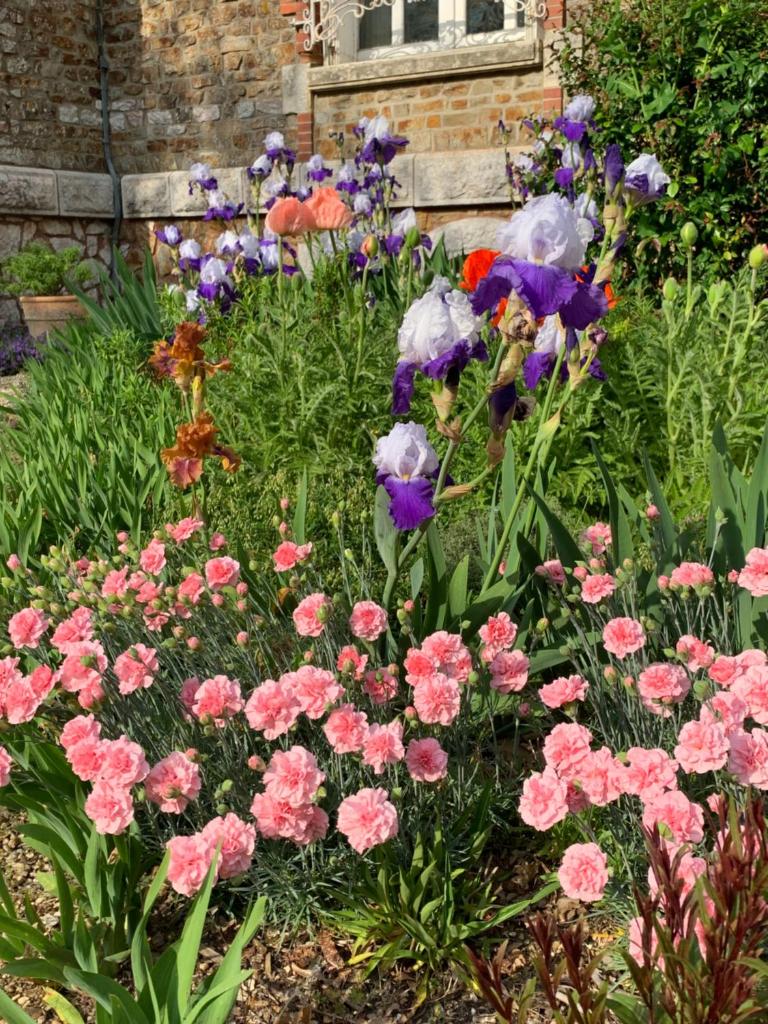 Le Manoir des Rochers photo 3