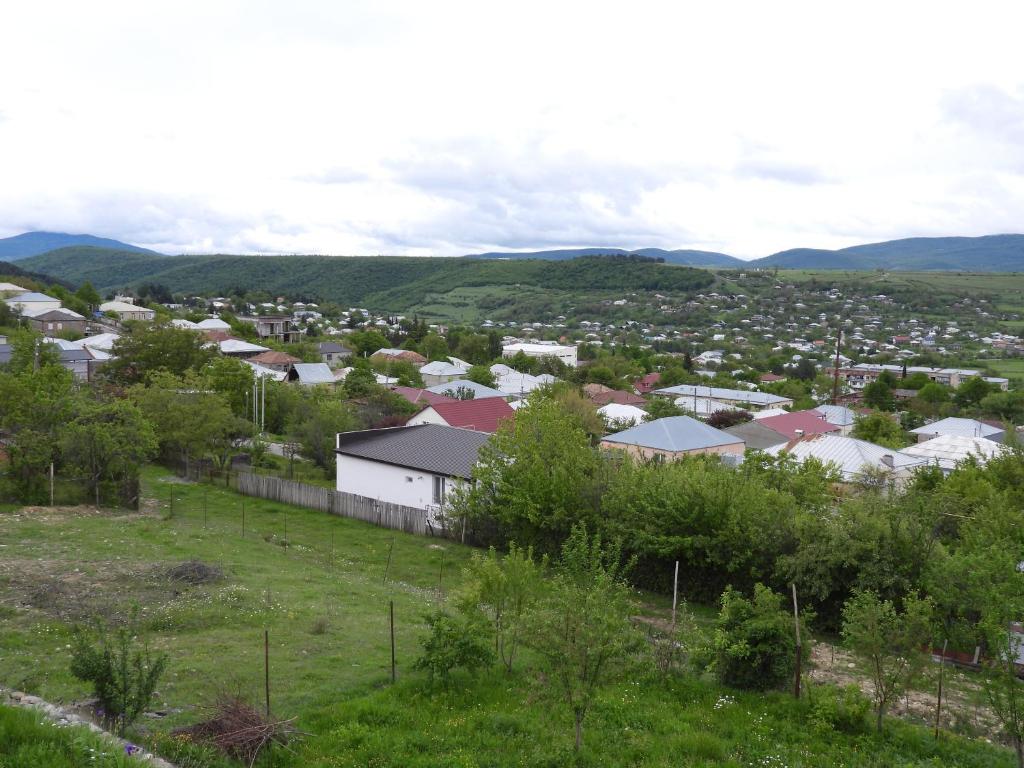 Dusheti23 photo 2