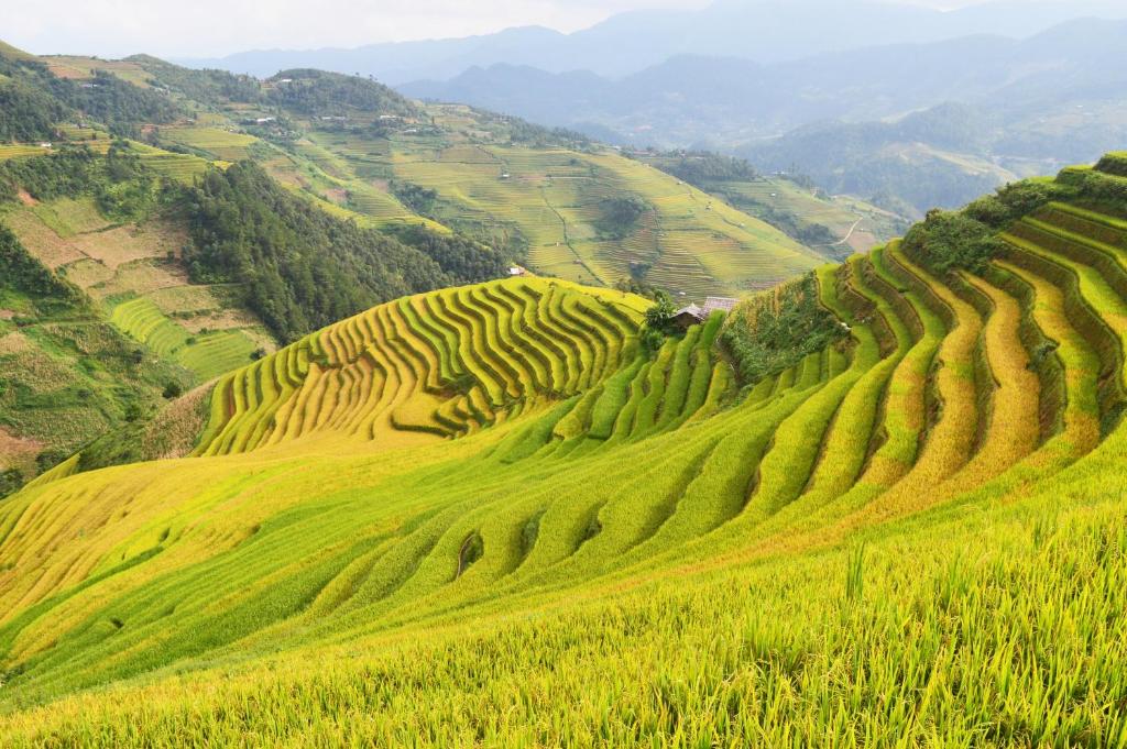 Hmong's Life Homestay