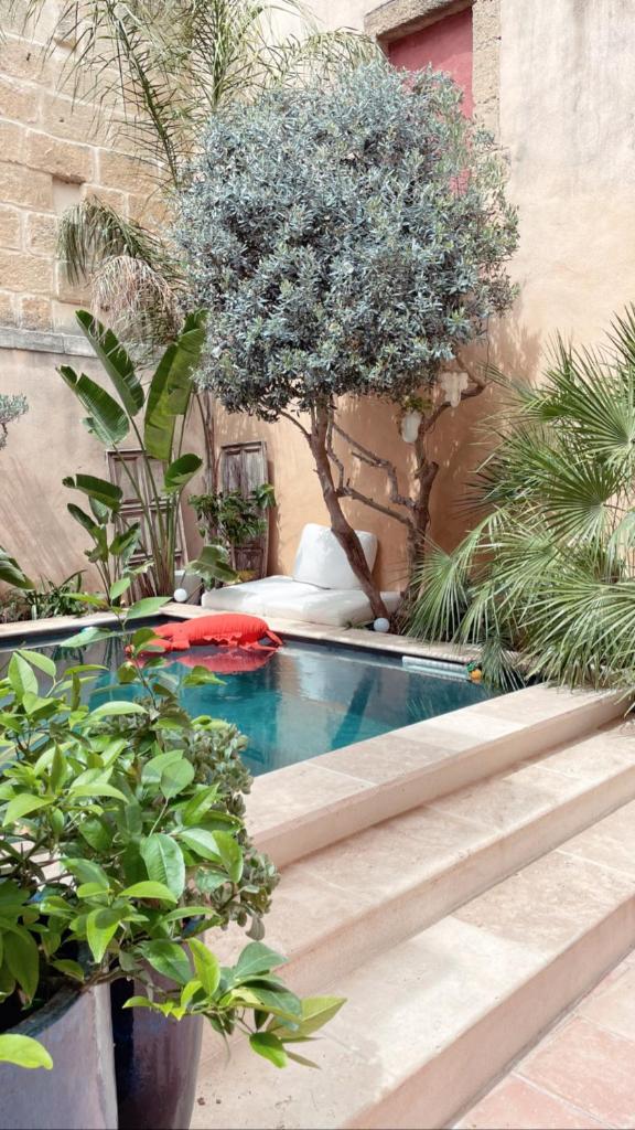 La Maison du Trident en Camargue Piscine et Jacuzzi photo 2