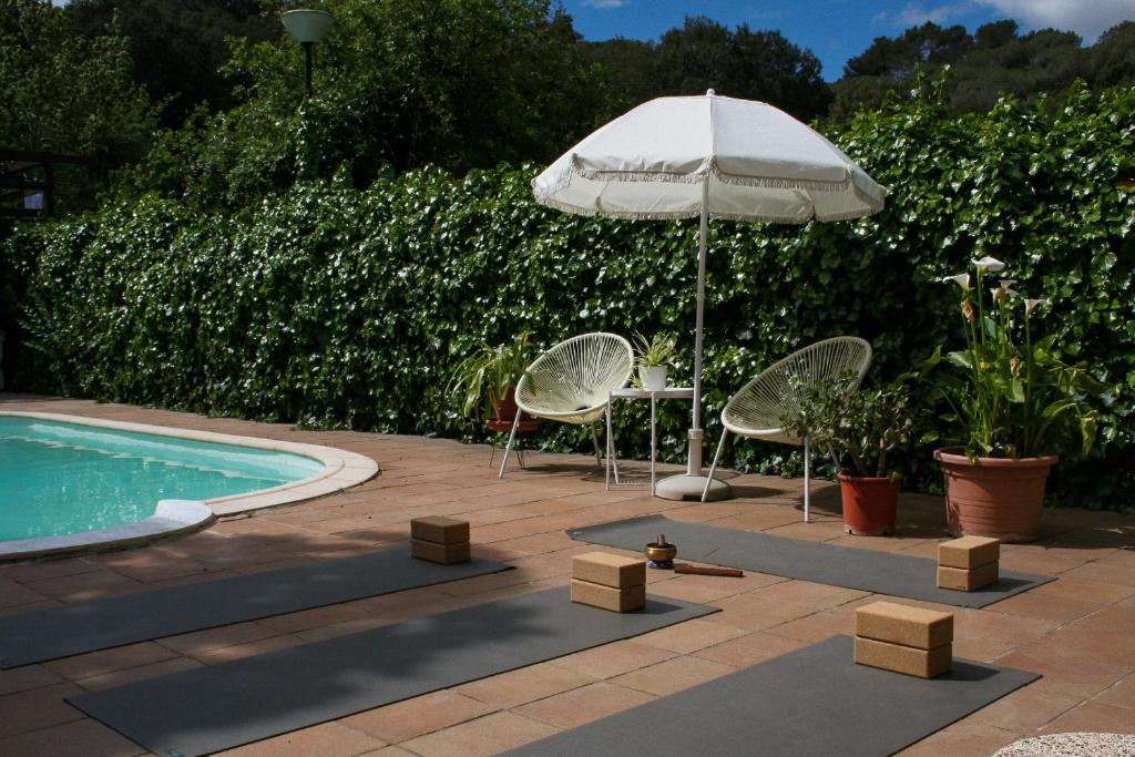 Casa Magnolia photo 2