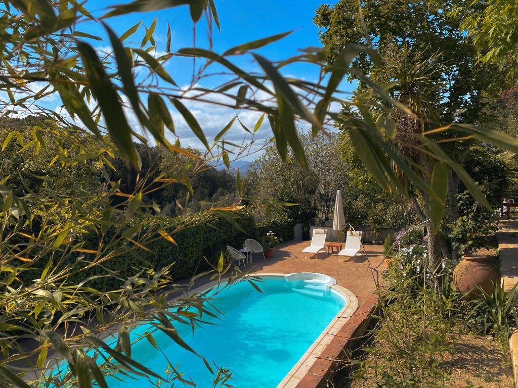Casa Magnolia photo 1