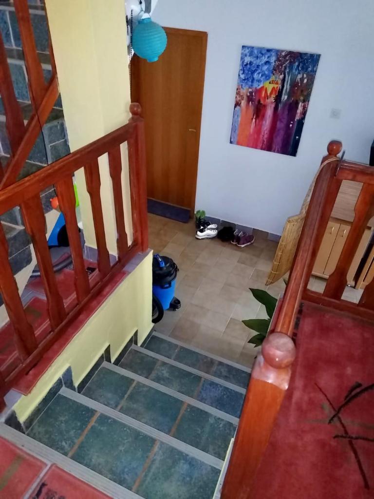 Milka Lek Lai Cacao Mika ZEE photo 1