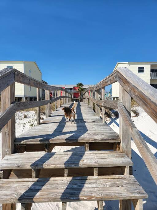 Quiet 2 bedroom condo on Gulf with pool and pond photo 1