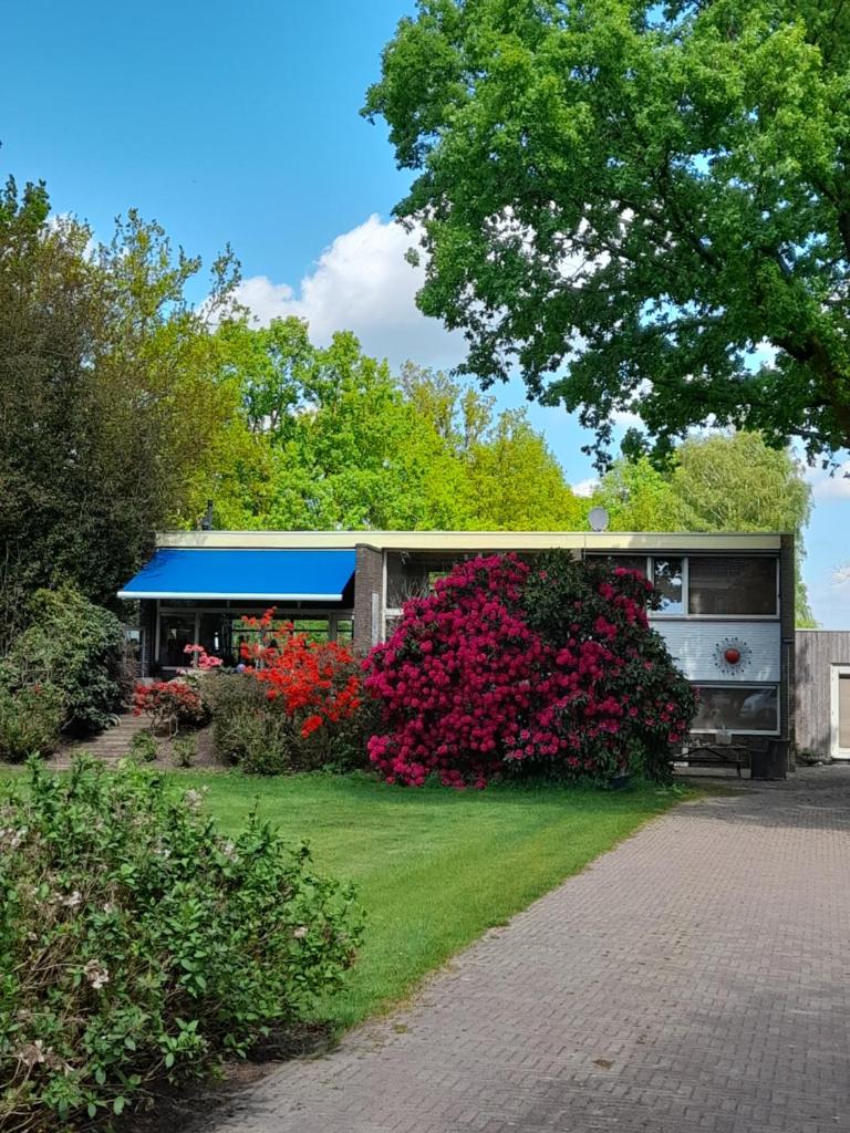 Vakantie Accommodatie Egelantier