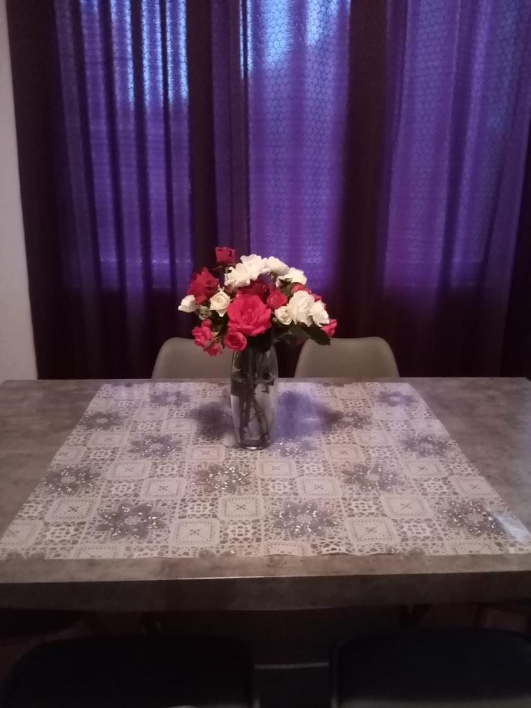 Apartments Suzana photo 4