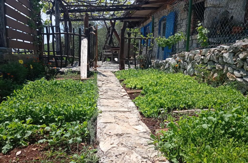 Casa Delle Olive photo 3