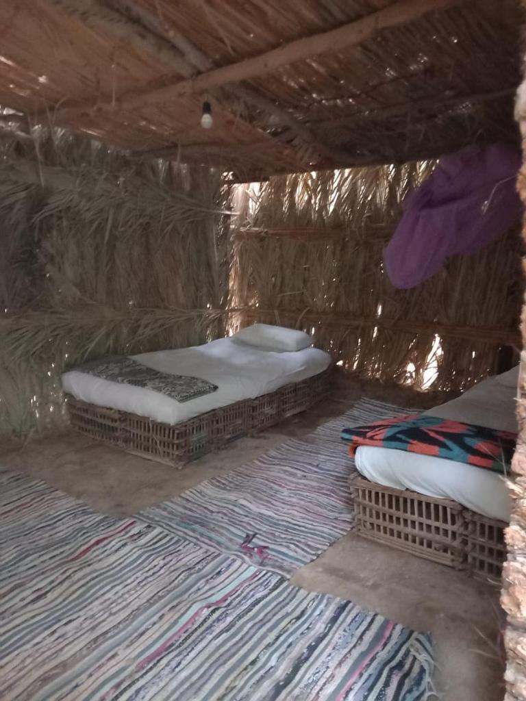 Forest Camp Siwa - كامب الغابة photo 4
