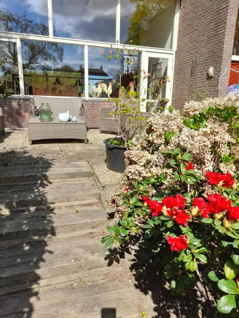 Vakantie Accommodatie Egelantier photo 2