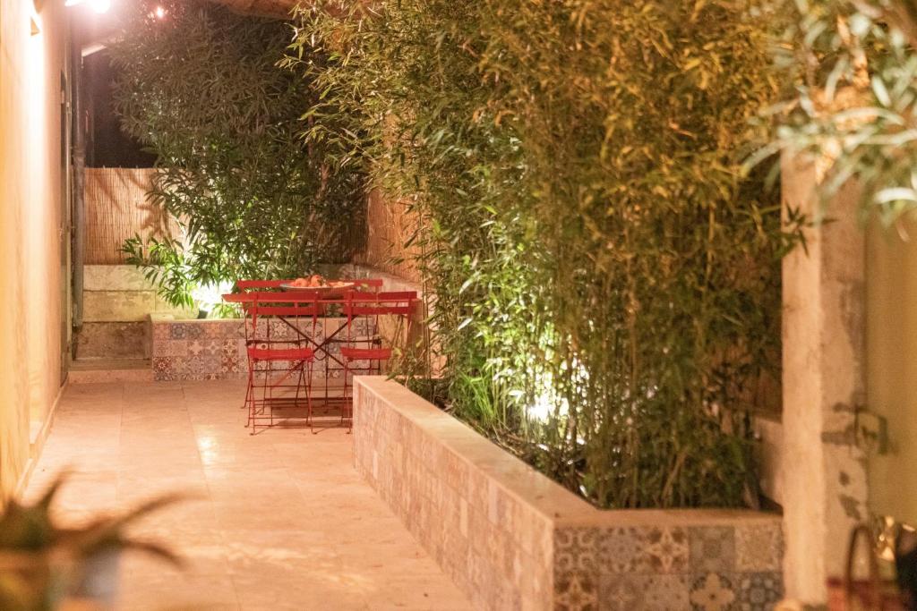maison entière de village Fontvieille avec piscine photo 4
