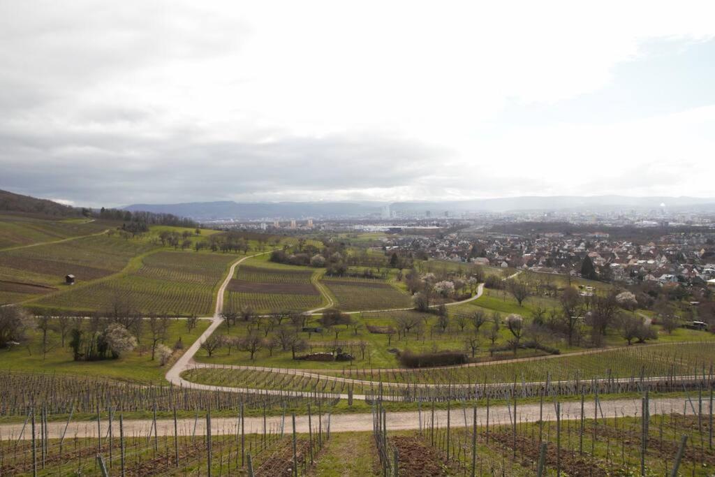 Wohlfühloase im Dreiländereck photo 1