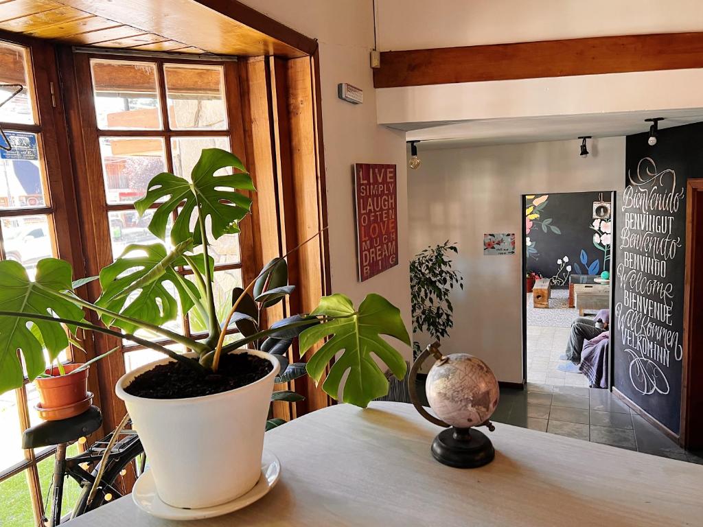 Bike Hostel photo 1