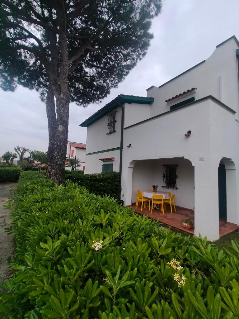 stella marina photo 3