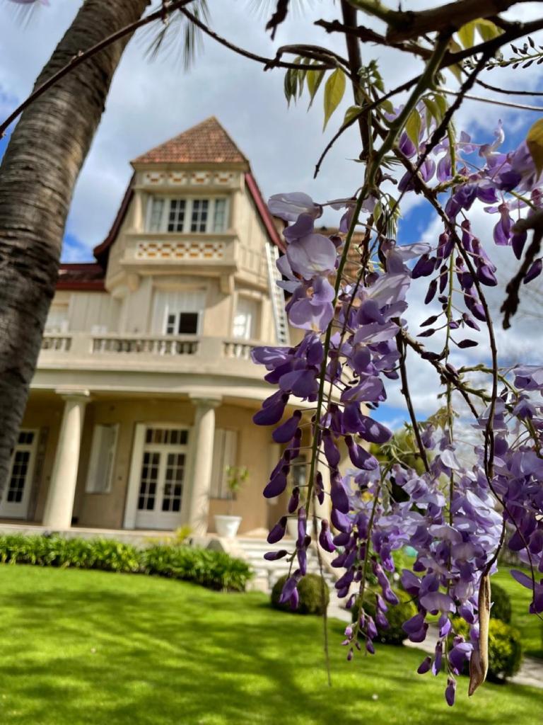 Casa Villa Julia