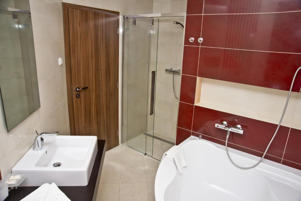 Двухместный (Двухместный номер Делюкс с 1 кроватью), Tempus Club Garni Hotel