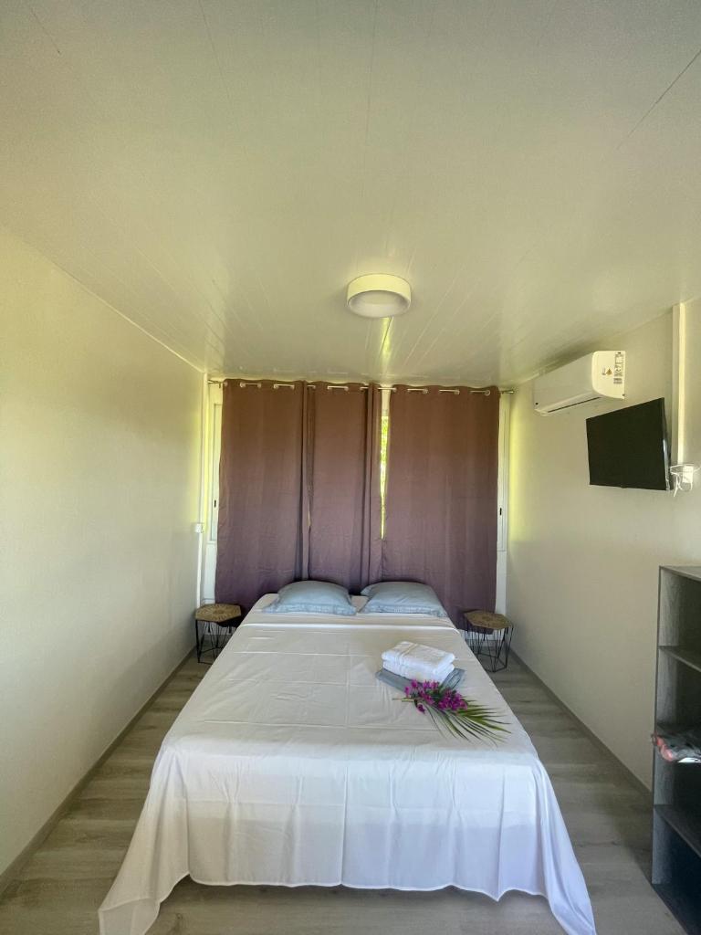 Temana Airport Faa'a,Tahiti photo 3
