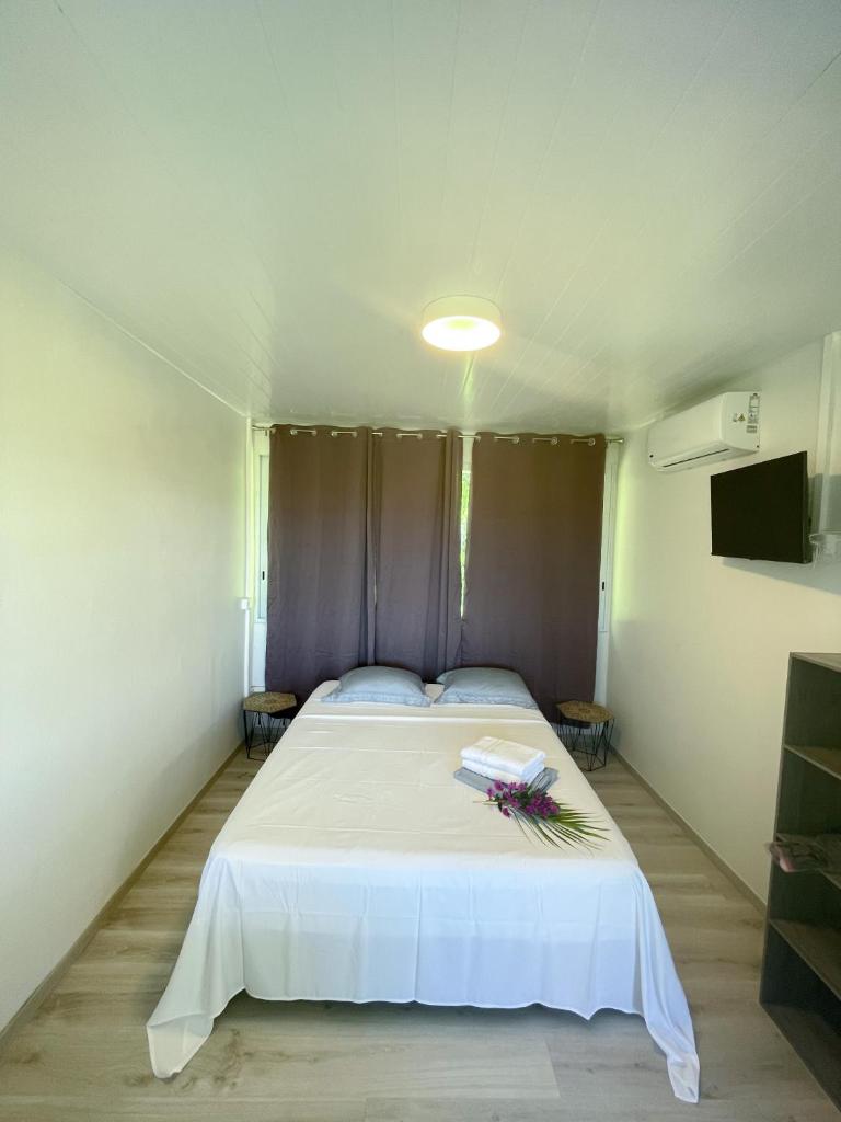 Temana Airport Faa'a,Tahiti photo 4