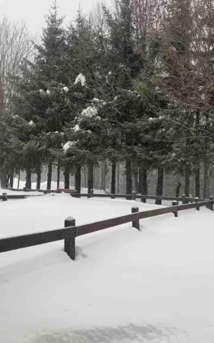 Appartamento ampio giardino adiacente piste sci 4/6 posti letto photo 2