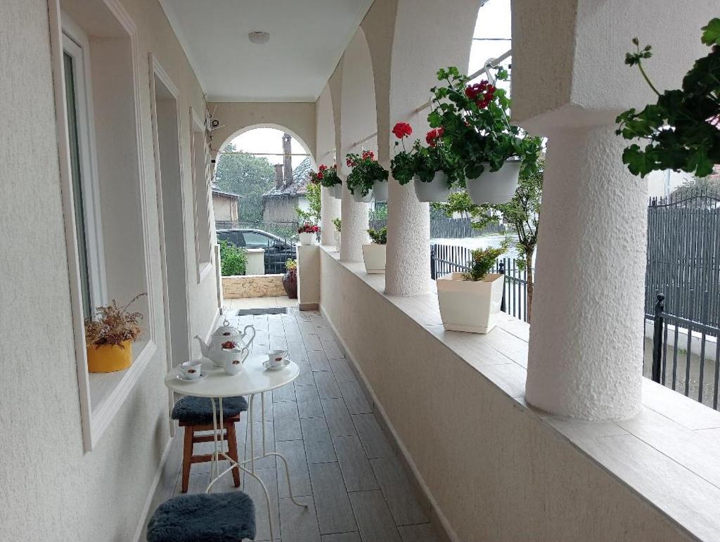 Casa Ana photo 1
