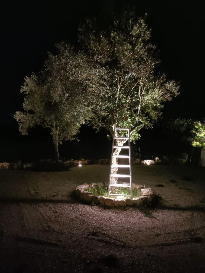Casa Loredana photo 4