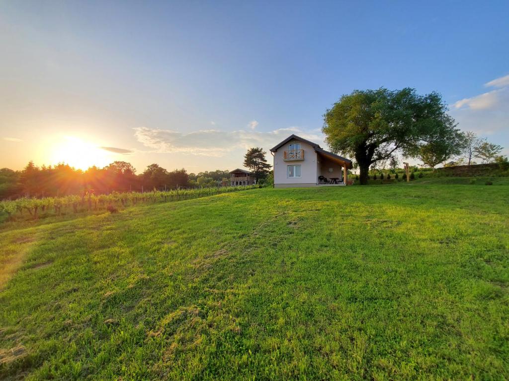 Holiday home Vinovilla photo 1