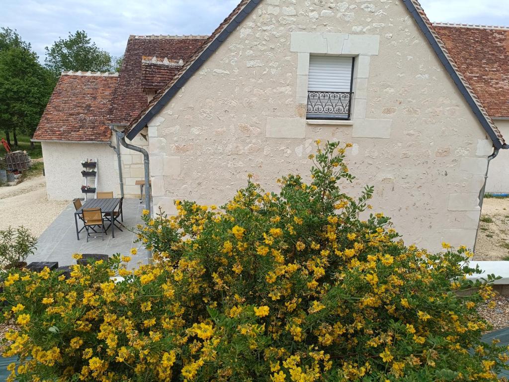 Gîte de la Grand Maison photo 3