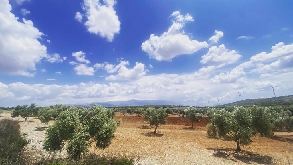 Finca Foremana - Tranquil country villa near Granada with pool table, BBQ, outdoor cinema, darts, games, plunge pool and hiking photo 4