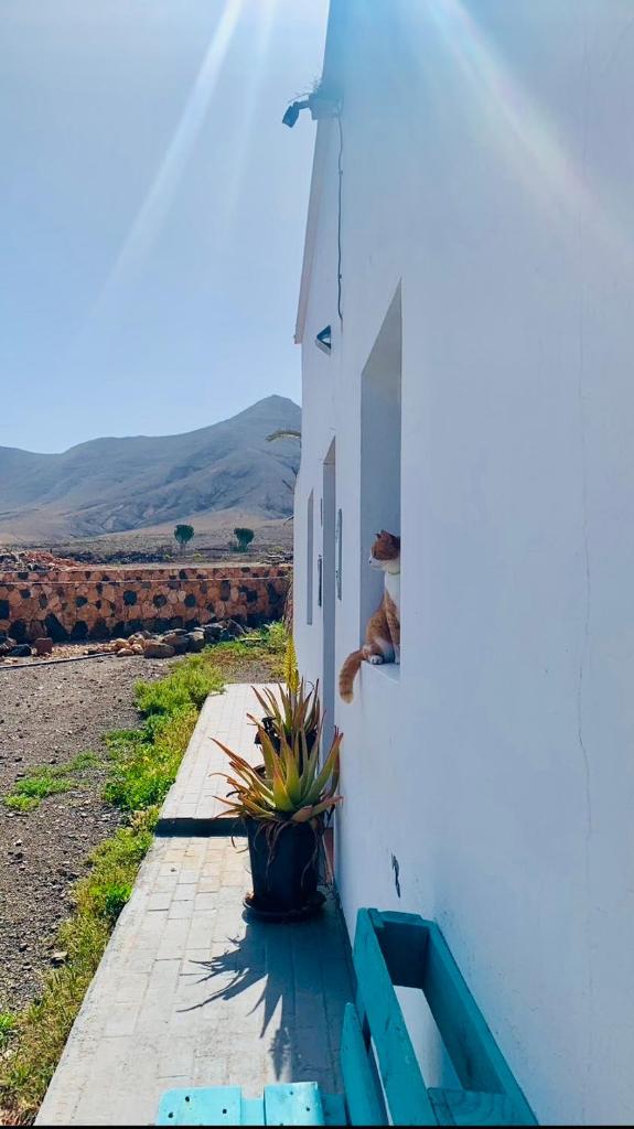 La Finca de Los Padres photo 3