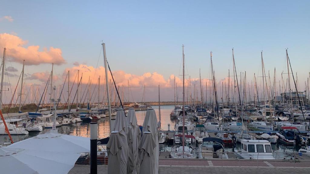 Nomi Suites Marina Herzelia photo 2