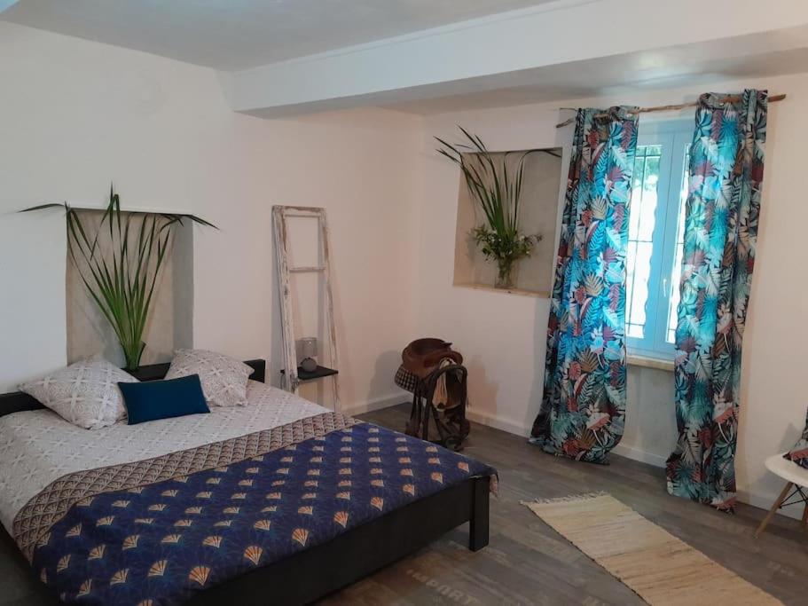 Appartement dans Mas Provençal photo 4
